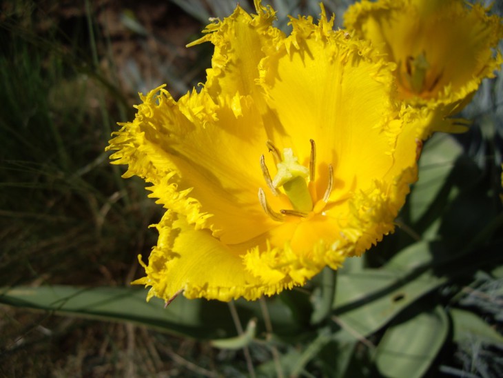 IMGP9637.jpg