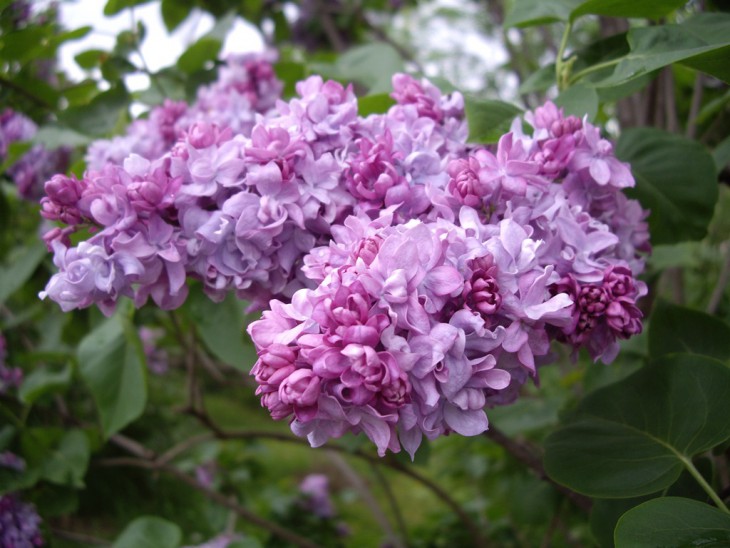 IMGP9844.jpg