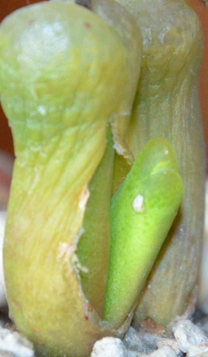 DSC_0759.JPG