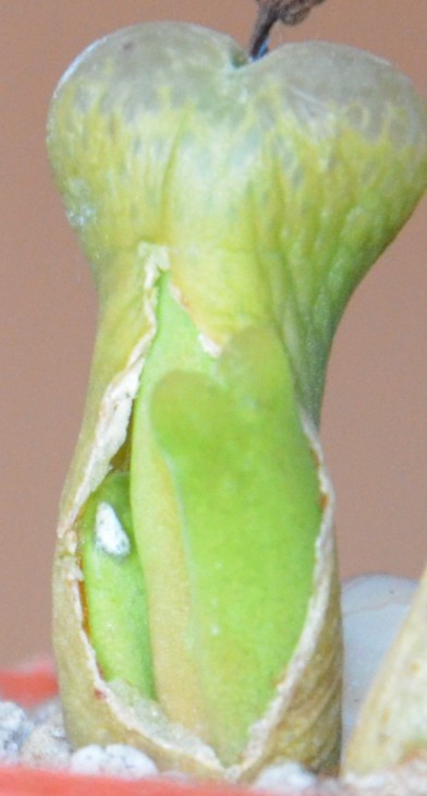 DSC_0760.JPG