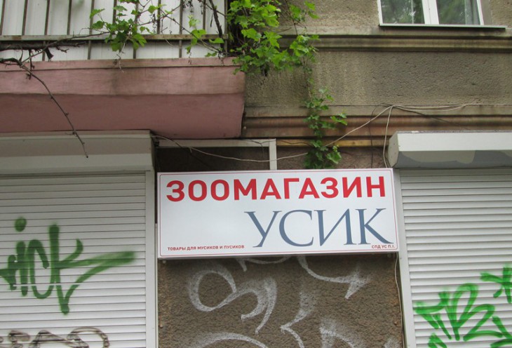 IMG_0782.JPG