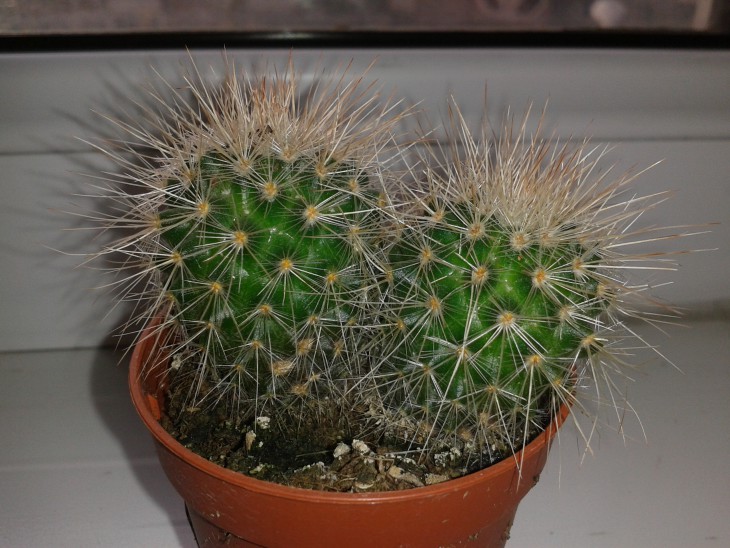 20140519.jpg