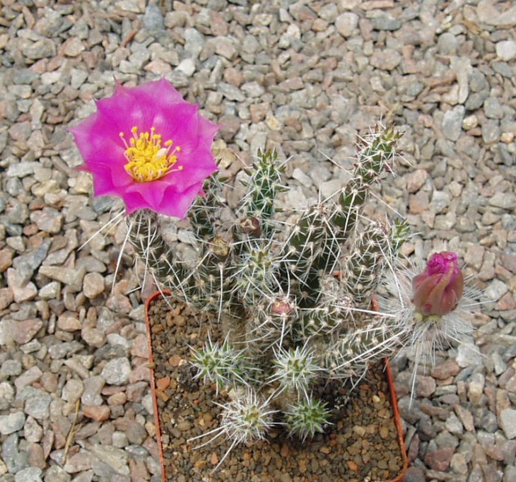 P1010037.JPG
