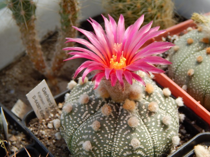 DSCN0543.JPG