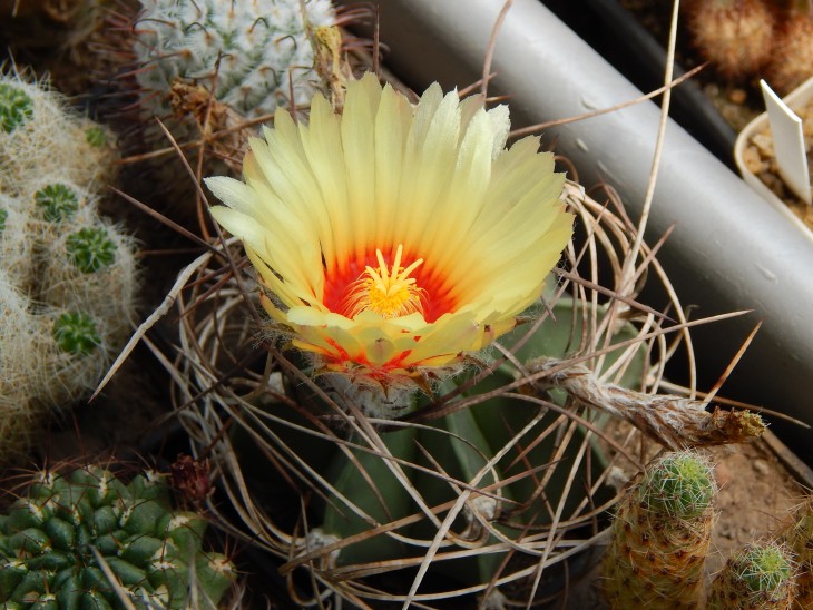 DSCN0540.JPG