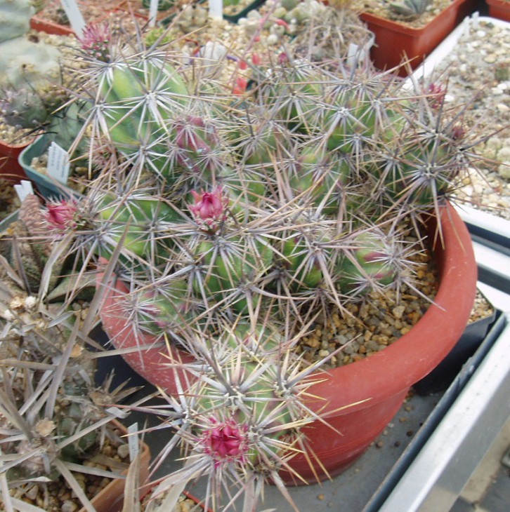 NE (15).JPG