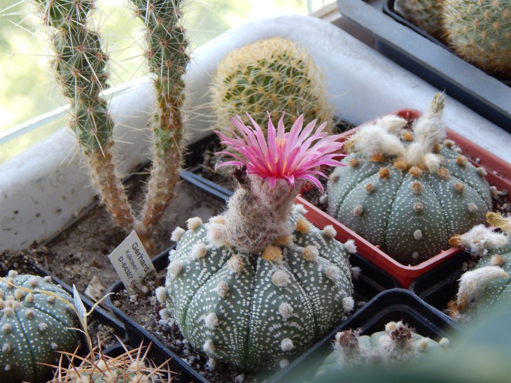 DSCN0638.JPG