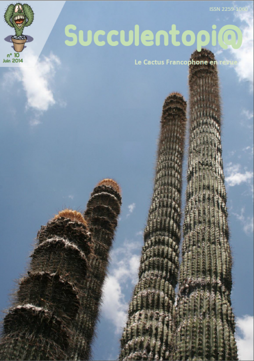 Succulentopia10.png