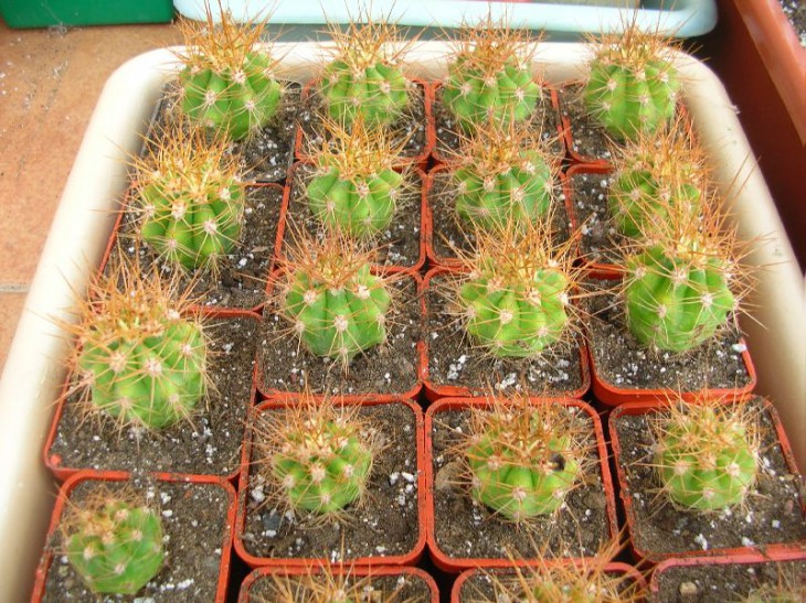 DSCN6170.JPG