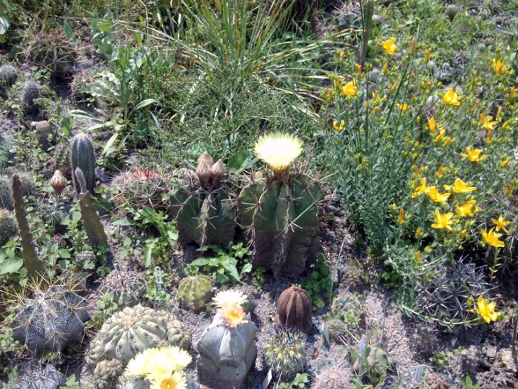 CAM01039 1.jpg
