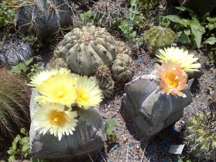 CAM01043 1.jpg