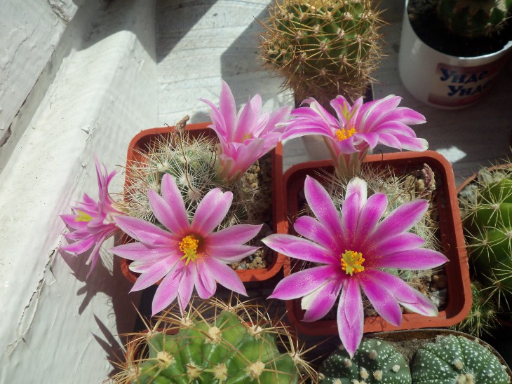 100_3011.JPG