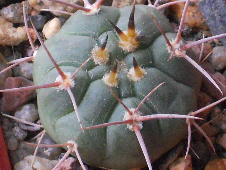 DSCN0561.JPG