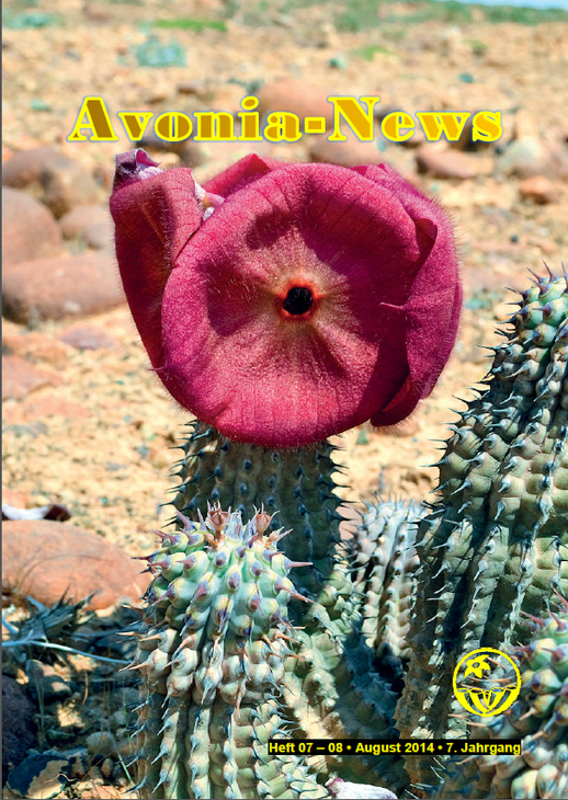 Avonia-News_August2014.png