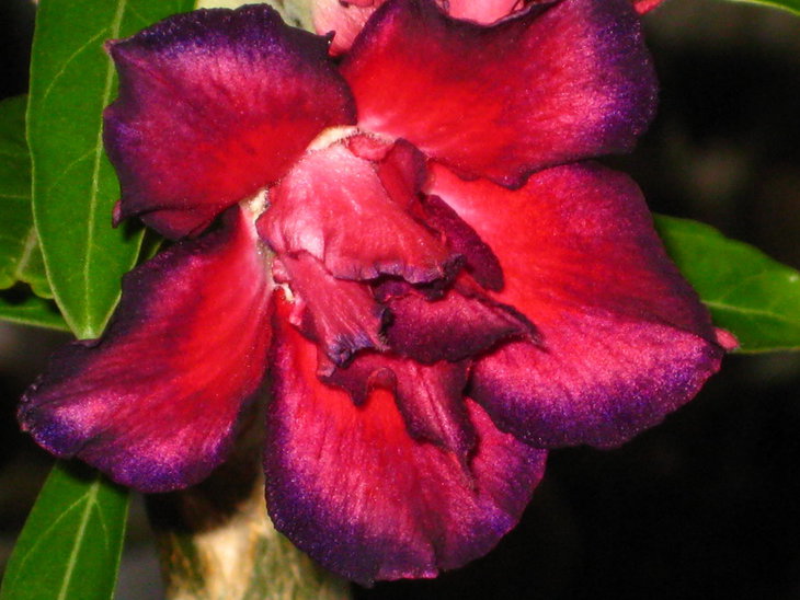 IMG_5618.JPG
