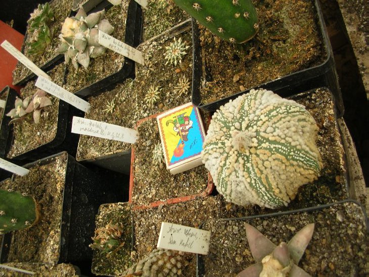 DSCN6499.JPG