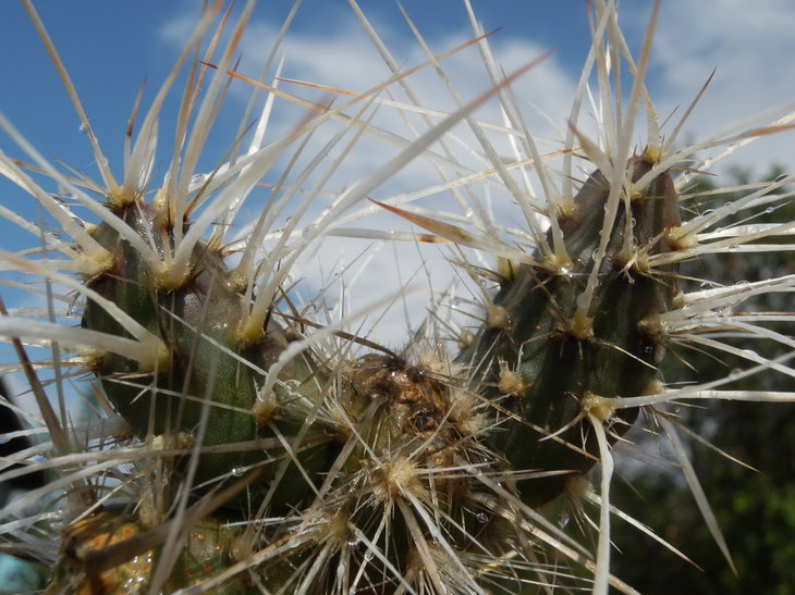 P8227382.jpg1.jpg