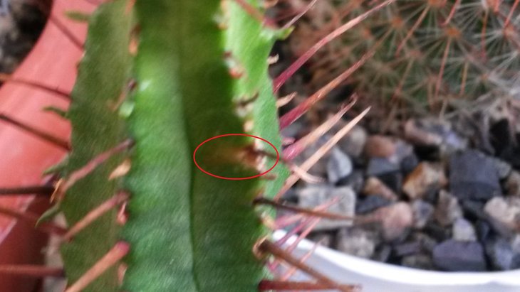 20140826_091634.jpg