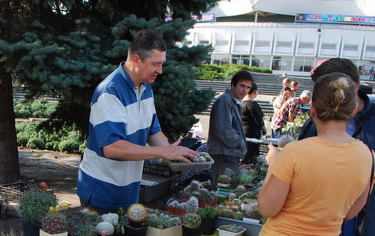 DSC_1098   На выставке  13 сентября 2014г..jpg