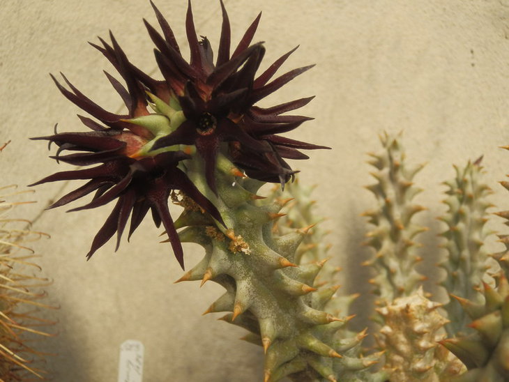 PA038070.jpg1.jpg