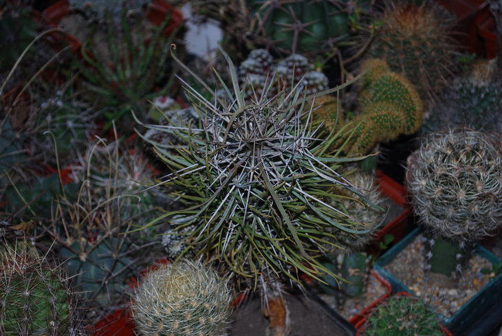 DSC_1320к.jpg