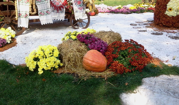2014-10-07 11.55.24.jpg