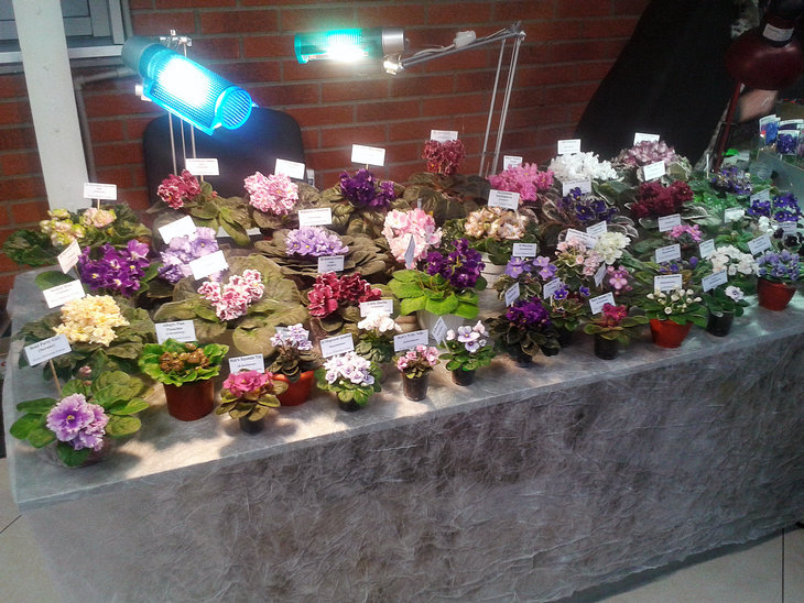 20141030_170052.jpg