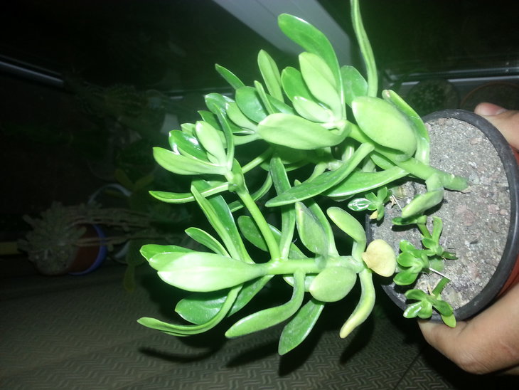 20141108_230751.jpg