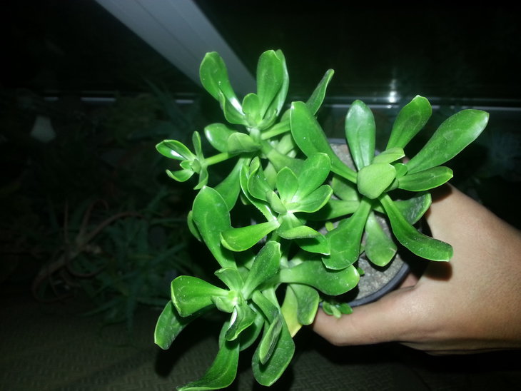 20141108_230757.jpg