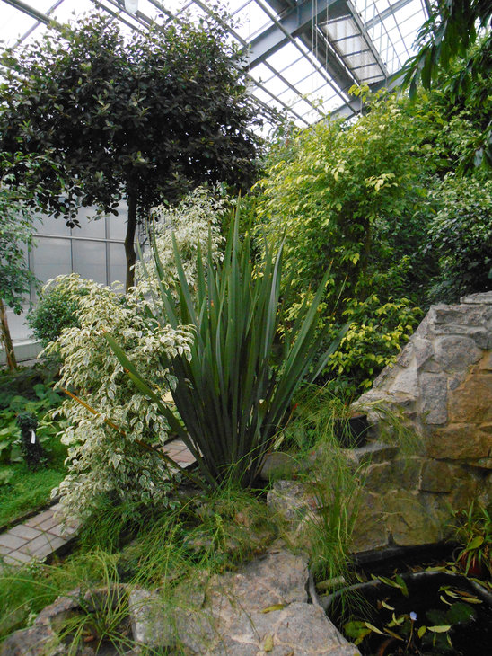 DSCN1274.jpg