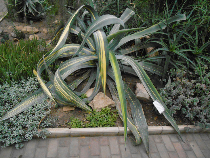 DSCN1276.jpg