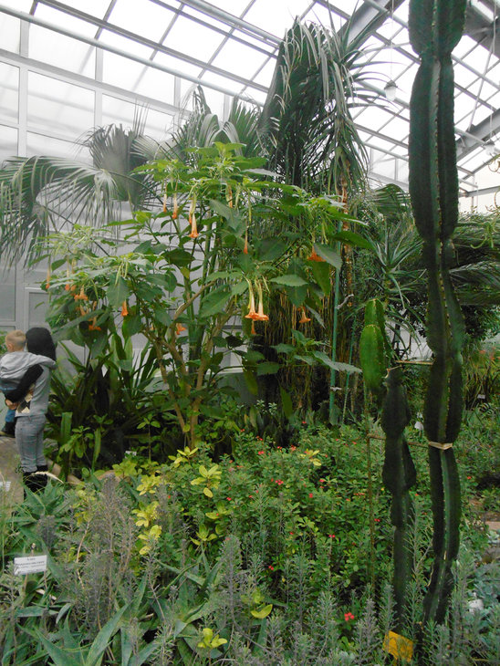 DSCN1278.jpg