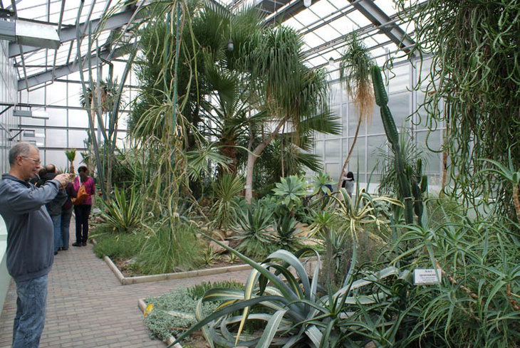 DSC08286.JPG