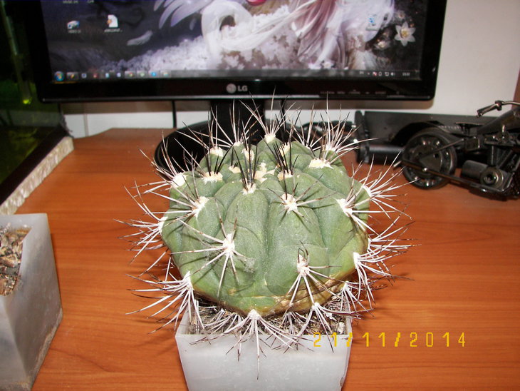 100_8334.JPG