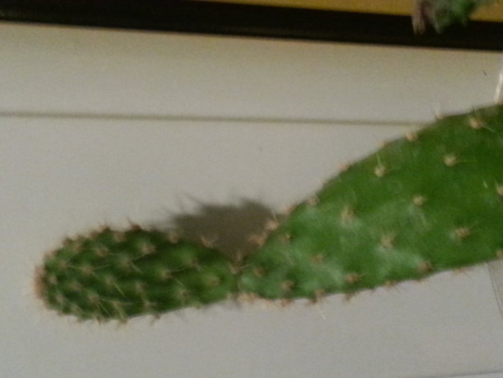 20141125_212149.jpg