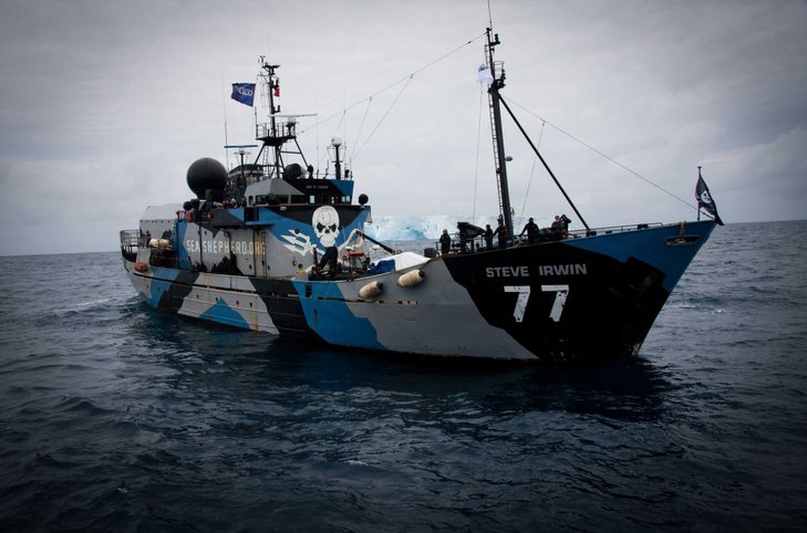 Один из кораблей &quot;Морских пастухов&quot;