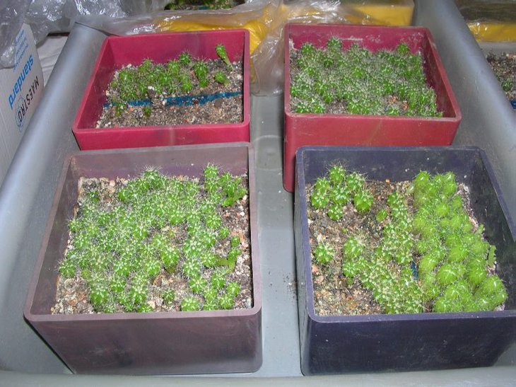 DSCN7856.JPG