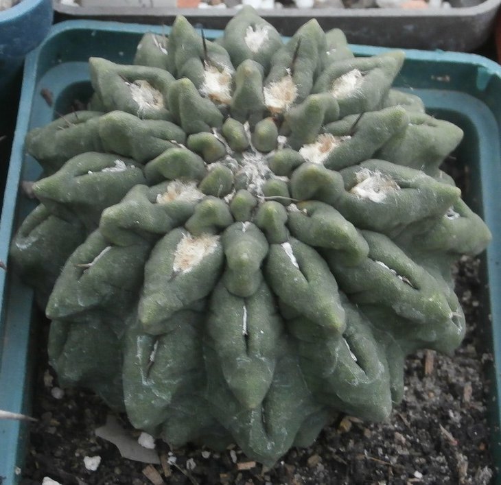 P1011541.JPG