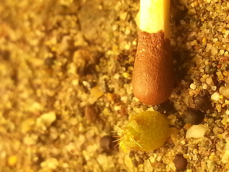 20141219_210927.jpg