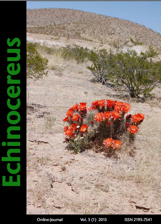 Echinocereus_1_2015.png