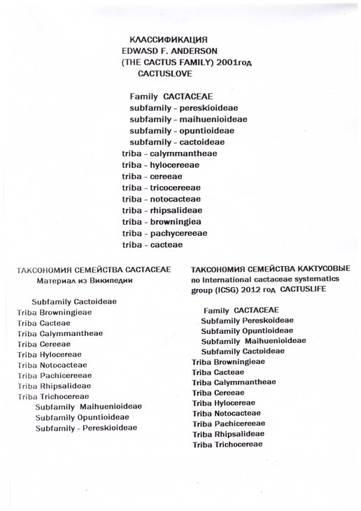 клас.jpeg