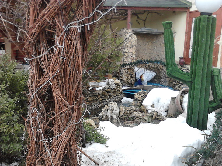 P15-01-15_13-13.jpg