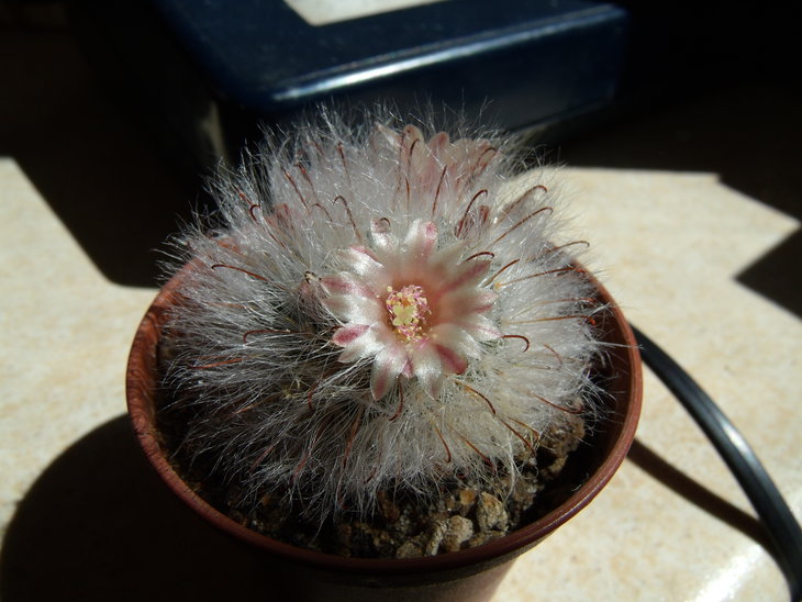 GEDC1079.JPG