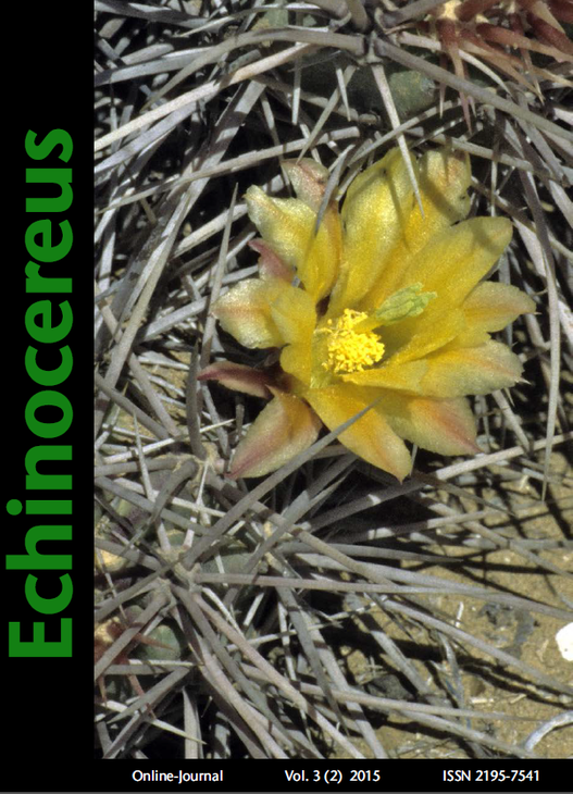 Echinocereus2_2015.png