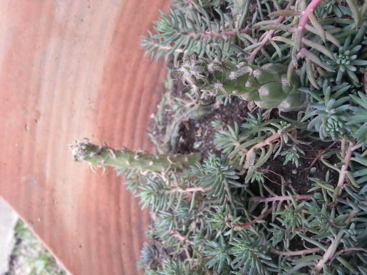 20150322_132313.jpg
