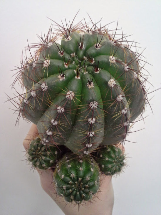 20150327_103549.jpg