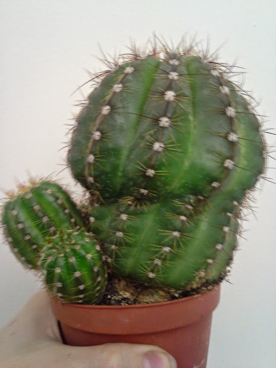 20150327_103542.jpg