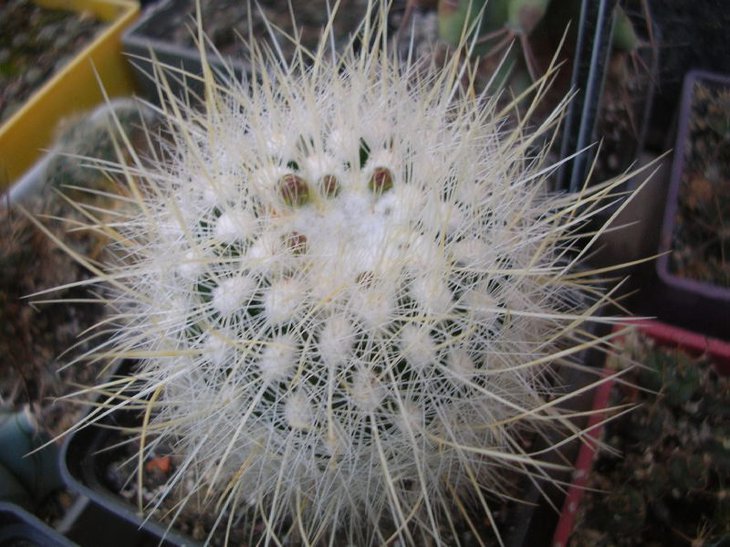 DSCN8866.JPG