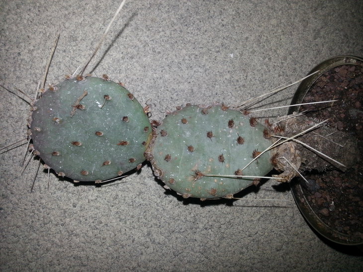 20150327_193558.jpg