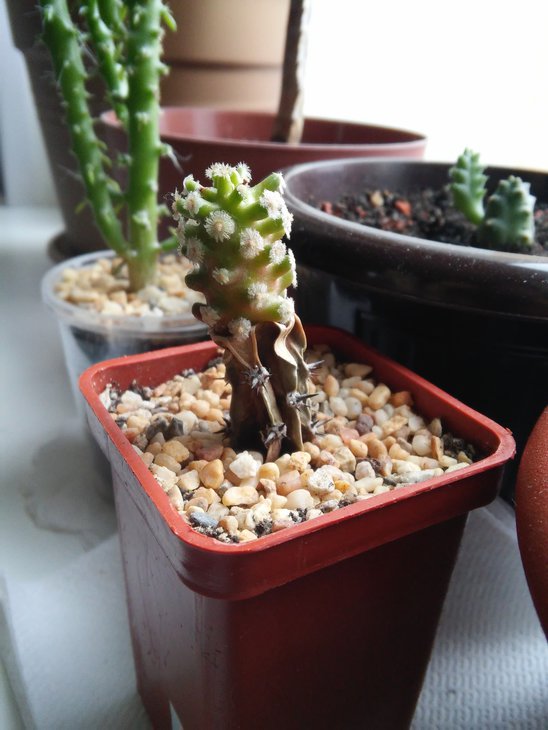 20150329_144550.jpg